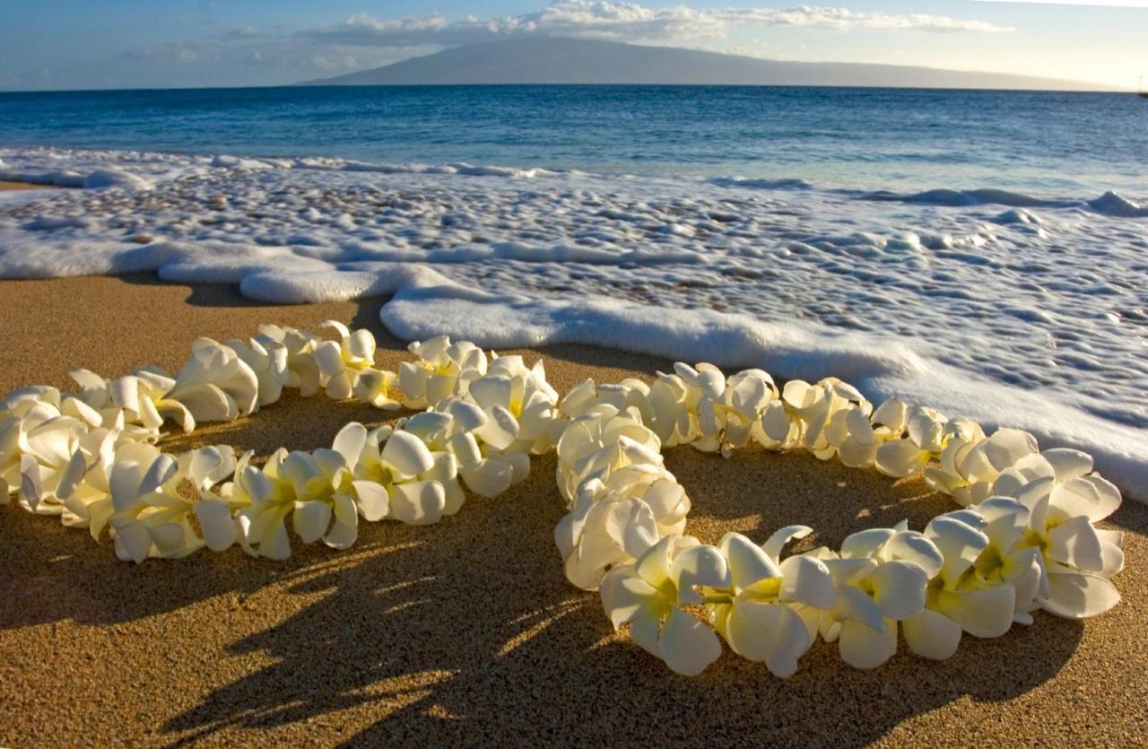 Steps To Waikiki Beach! Newly Renovated With 75" Tv Honolulu Exteriér fotografie
